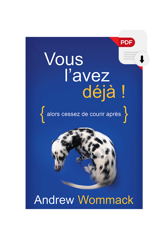 Vous l'avez déjà eBook (format PDF)