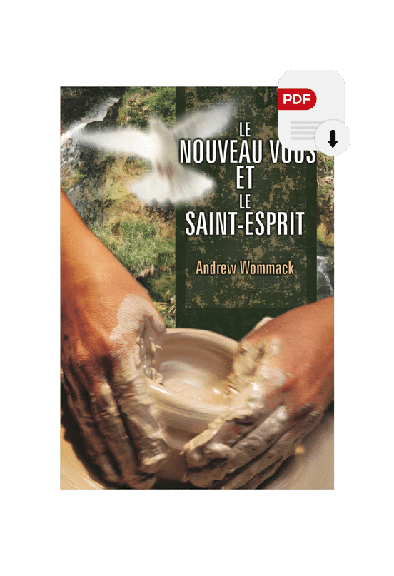 Le Nouveau Vous et le Saint-Esprit (format PDF)