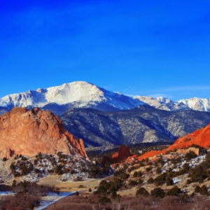 Cosprings