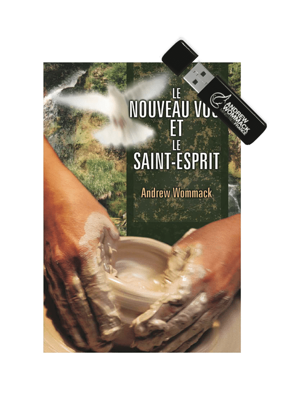 Le Nouveau Vous et le Saint-Esprit (USB)
